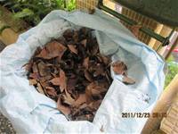 1001223小園丁團實務工作_park5