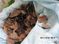 1001223小園丁團實務工作_park5