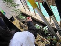 1001223小園丁團實務工作_park5