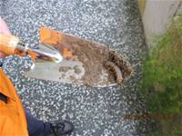 1001223小園丁團實務工作_park5