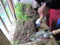 1001223小園丁團實務工作_park5