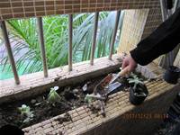 1001223小園丁團實務工作_park5