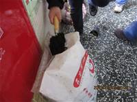 1001223小園丁團實務工作_park5