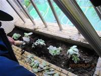 1001223小園丁團實務工作_park5