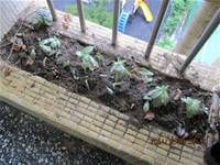 1001223小園丁團實務工作_park5