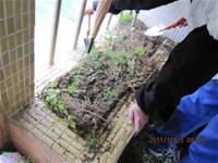 1001223小園丁團實務工作_park5