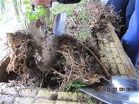 1001223小園丁團實務工作_park5