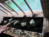 1001223小園丁團實務工作_park5