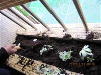 1001223小園丁團實務工作_park5