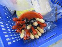 1001223小園丁團實務工作_park5