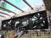 1001223小園丁團實務工作_park5