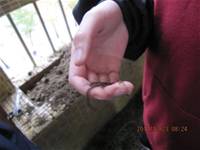 1001223小園丁團實務工作_park5