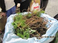 1001223小園丁團實務工作_park5