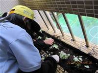 1001223小園丁團實務工作_park5