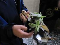 1001223小園丁團實務工作_park5