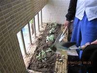 1001223小園丁團實務工作_park5