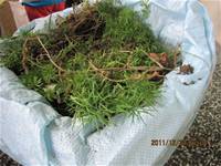 1001223小園丁團實務工作_park5