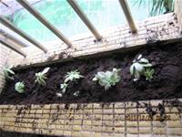 1001223小園丁團實務工作_park5