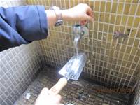 1001223小園丁團實務工作_park5