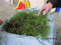 1001223小園丁團實務工作_park5