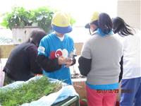 1001223小園丁團實務工作_park5