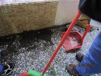 1001223小園丁團實務工作_park5