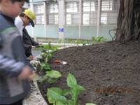 1001227小園丁團實務工作_park6