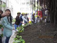 1001227小園丁團實務工作_park6