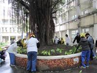 1001227小園丁團實務工作_park6