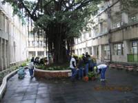 1001227小園丁團實務工作_park6