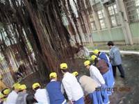 1001227小園丁團實務工作_park6