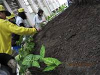 1001227小園丁團實務工作_park6