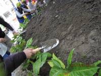 1001227小園丁團實務工作_park6