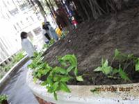 1001227小園丁團實務工作_park6