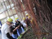 1001227小園丁團實務工作_park6