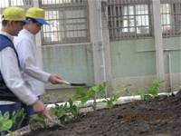 1001227小園丁團實務工作_park6