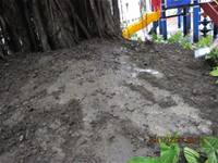 1001227小園丁團實務工作_park6