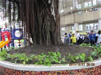 1001227小園丁團實務工作_park6