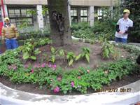 1001227小園丁團實務工作_park6