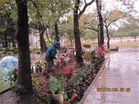 1010106落葉步道區實驗建置