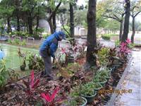 1010106落葉步道區實驗建置