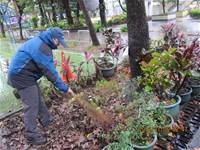 1010106落葉步道區實驗建置