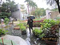 1010106落葉步道區實驗建置