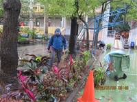 1010106落葉步道區實驗建置