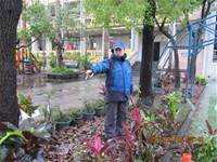 1010106落葉步道區實驗建置