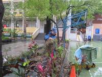 1010106落葉步道區實驗建置