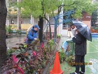 1010106落葉步道區實驗建置