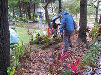 1010106落葉步道區實驗建置