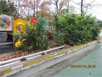 1010106落葉步道區實驗建置