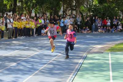 114學年度體育表演會（相簿A